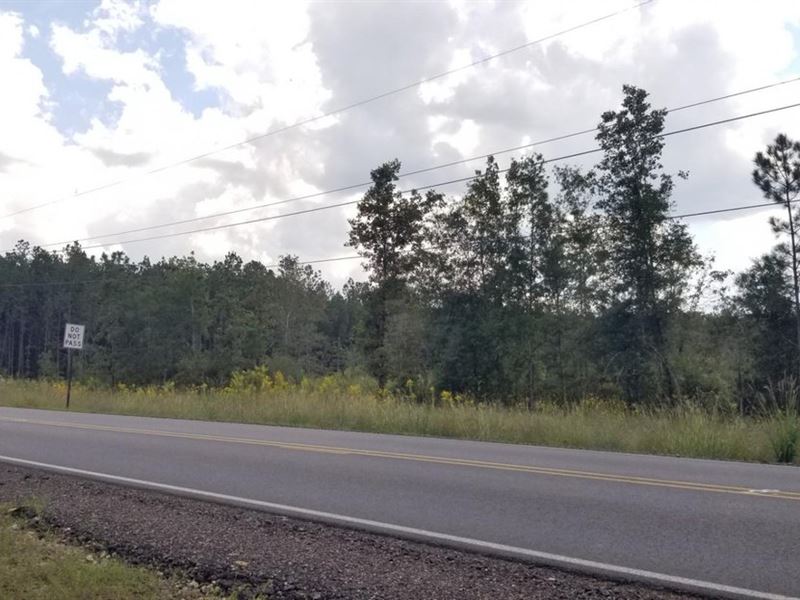 Highway 500 Homesite, Lasalle Paris : Trout : La Salle Parish : Louisiana