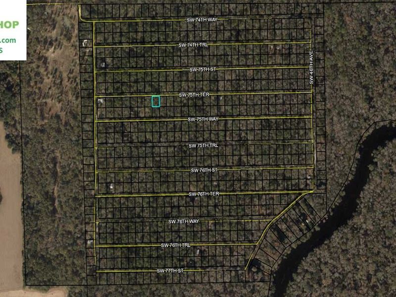 Suwannee River RV / Campsite : Jasper : Hamilton County : Florida
