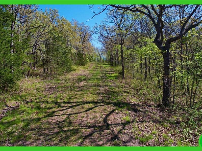 3.27 Ac Land in Benton County, MO : Edwards : Benton County : Missouri