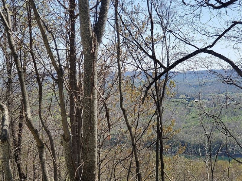 Gorgeous Norris Lake Views : New Tazewell : Claiborne County : Tennessee