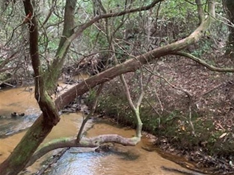 Briar Gate Drive : Dozier : Crenshaw County : Alabama