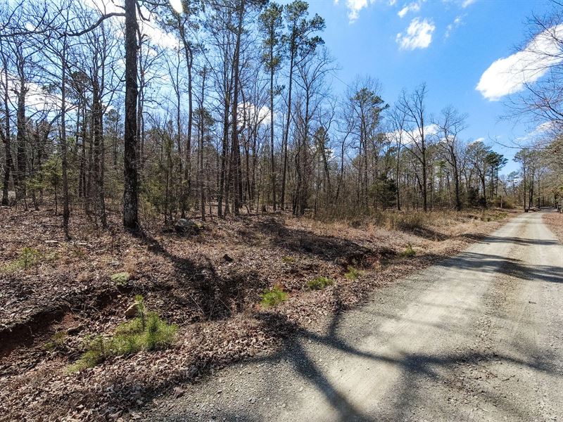 $9900 Down, Wooded Ozark 5 Acres : Heber Springs : Cleburne County : Arkansas