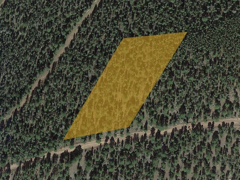 Residential & Modular Homes : Blanca : Costilla County : Colorado