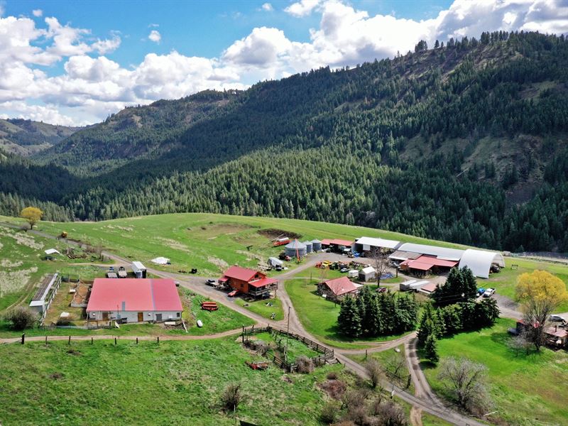 Little Canyon Ranch : Orofino : Clearwater County : Idaho