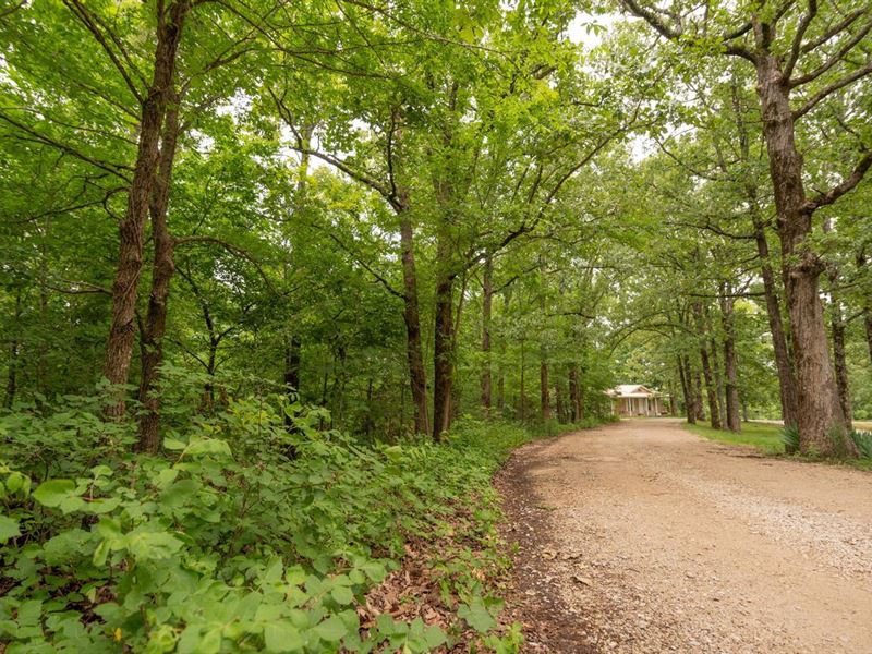 Residential 2.87 Acre Lot for Sale : Poplar Bluff : Butler County : Missouri