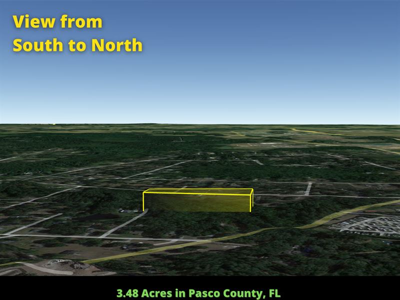 3.48 Acre Homesite in Wesley Chapel : Wesley Chapel : Pasco County : Florida