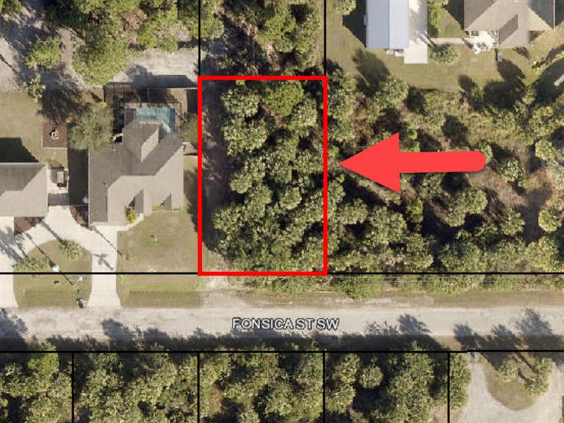Perfect Palm Bay Lot Nearby Beaches : Palm Bay : Brevard County : Florida