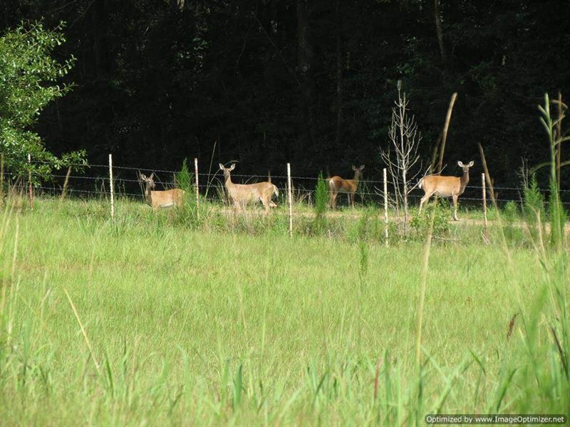 Huntin', Fishin' & Lovin' Every Day : McComb : Pike County : Mississippi