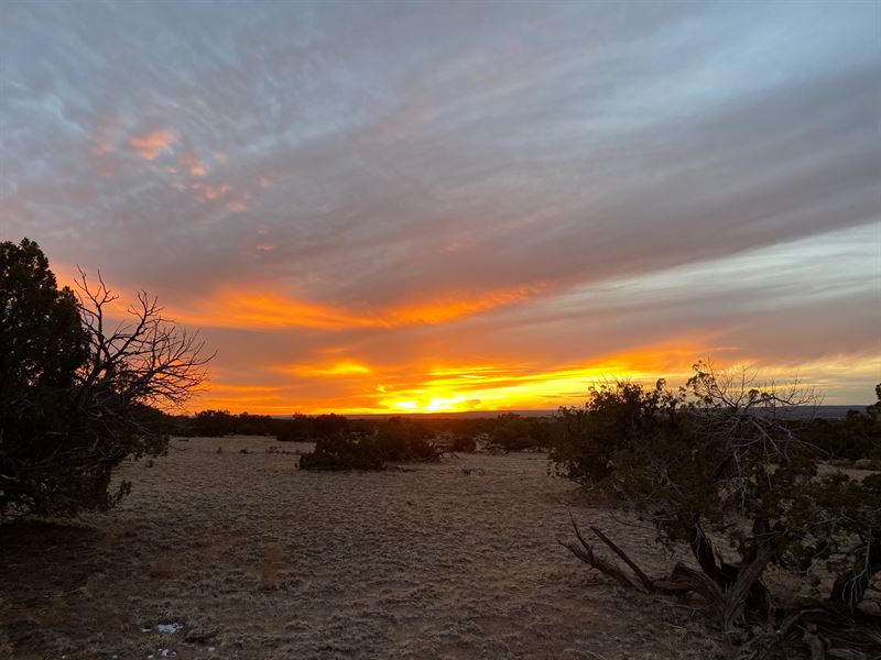 Scenic High Country Ranch Smr 137 : Saint Johns : Apache County : Arizona