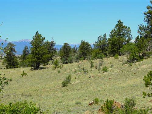 Hidden Meadows Ranch : Hartsel : Park County : Colorado