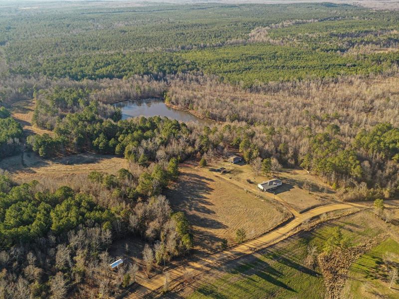Country Retreat 112 Acres : Eupora : Choctaw County : Mississippi
