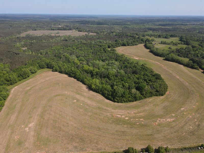 Stricklin Road Tract South : Brantley : Crenshaw County : Alabama