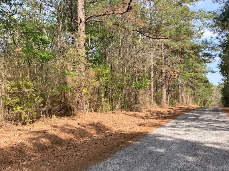 $9,900 Down, Country Lot by Town : Kentwood : Tangipahoa Parish : Louisiana