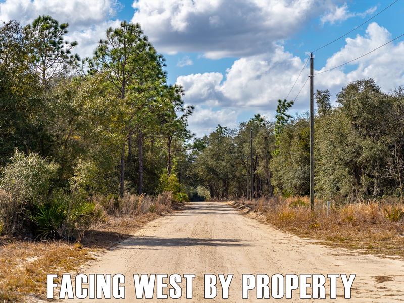 $6,900 Down Payment, Close to Town : Bronson : Levy County : Florida