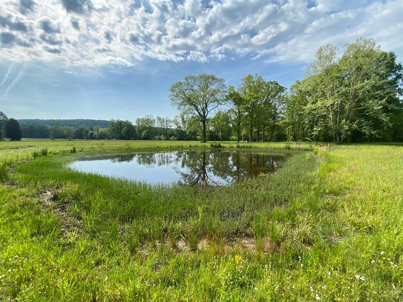Build an Equestrian Ponderosa : Odenville : Saint Clair County : Alabama