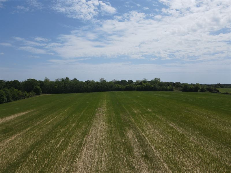 County Road 337 Tract Southeast : Brantley : Coffee County : Alabama