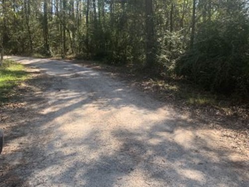 Cozy Wooded Lot : Kinder : Allen Parish : Louisiana