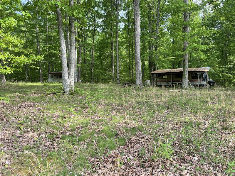 Paint Rock Valley Hunting Land : Princeton : Jackson County : Alabama