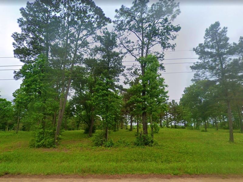 .24 Acre in Coldspring, $200/Mo : Coldspring : San Jacinto County : Texas