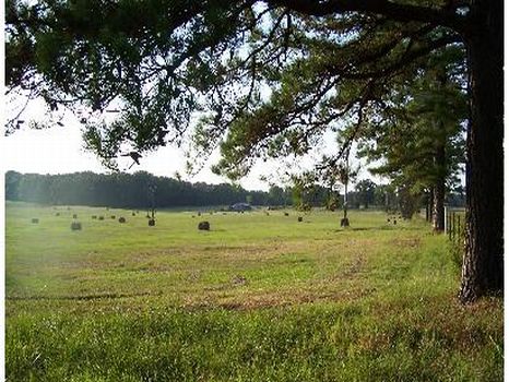 302 Acs Pastureland & Timberland : Kosciusko : Attala County : Mississippi