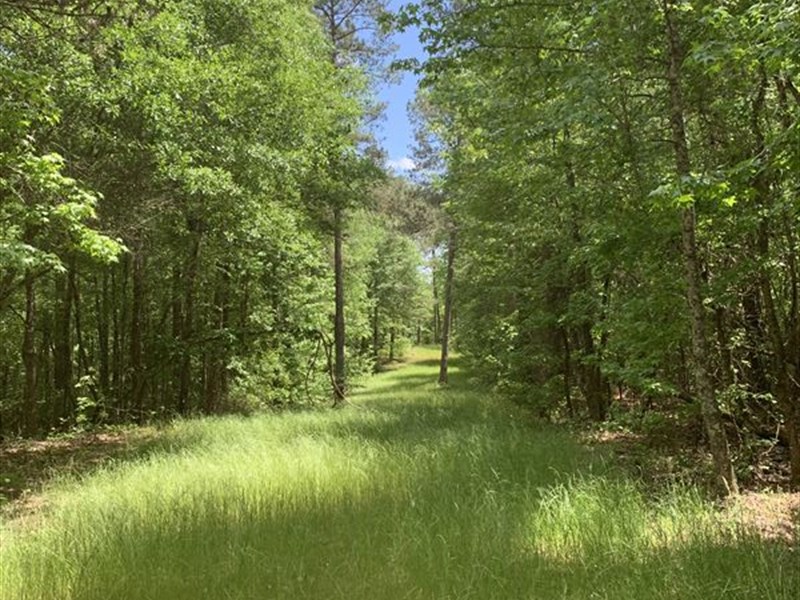 Blackthorn Road Tract : Colbert : Oglethorpe County : Georgia
