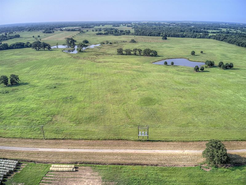 Beautiful Dfw Homestead Land for Sale in Saltillo, Hopkins County