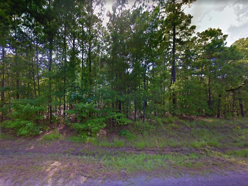 .21 Acre in Brookeland, $200/Month : Brookeland : Jasper County : Texas