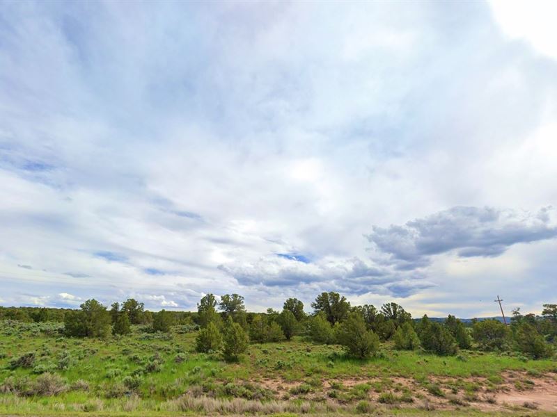 .2 Acre in Fruitland, $200/Month : Fruitland : Duchesne County : Utah