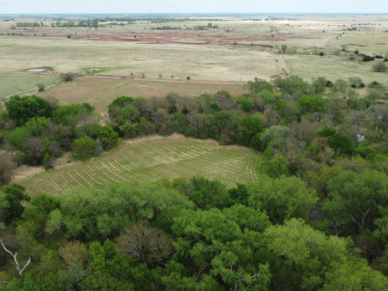 Big Buck Flour Mill : Murdock : Kingman County : Kansas