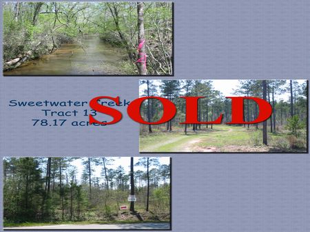 Lot 13 Sweetwater Creek : Macon : Crawford County : Georgia