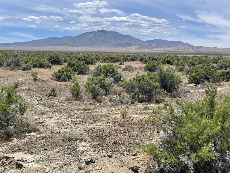 Camp Surrounded by Mountains : Valmy : Humboldt County : Nevada