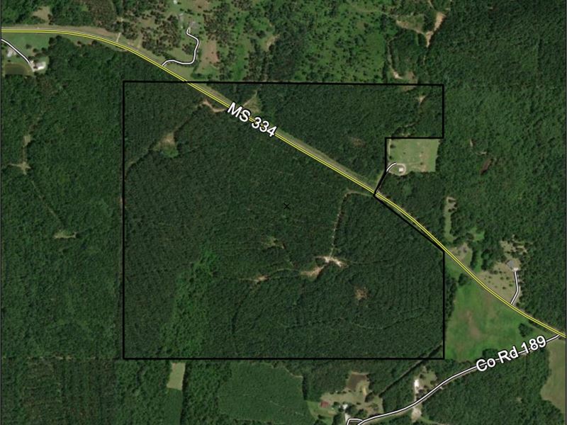 Van Beber Tract 1 : Toccopola : Pontotoc County : Mississippi