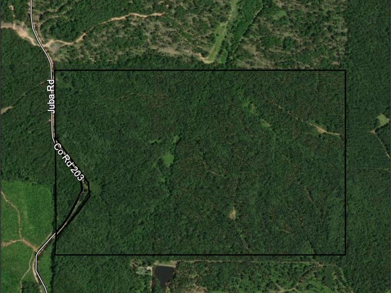 Van Beber Tract 2 : Toccopola : Pontotoc County : Mississippi