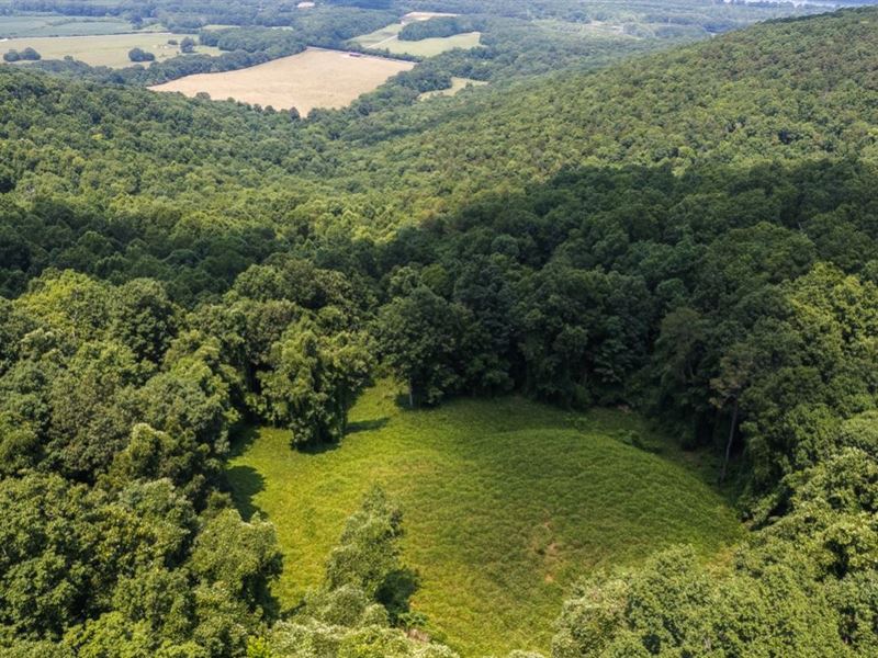 158 Acres, Flat Rock : Flat Rock : Jackson County : Alabama