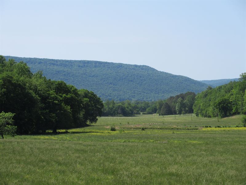 Big Valley : Princeton : Jackson County : Alabama