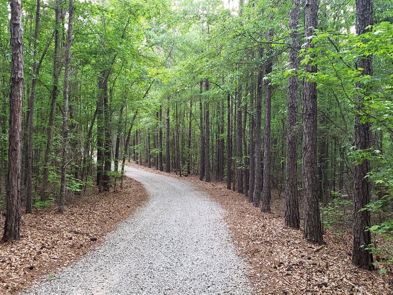 Turnkey Hunting, RVs Included : Morris : Randolph County : Georgia
