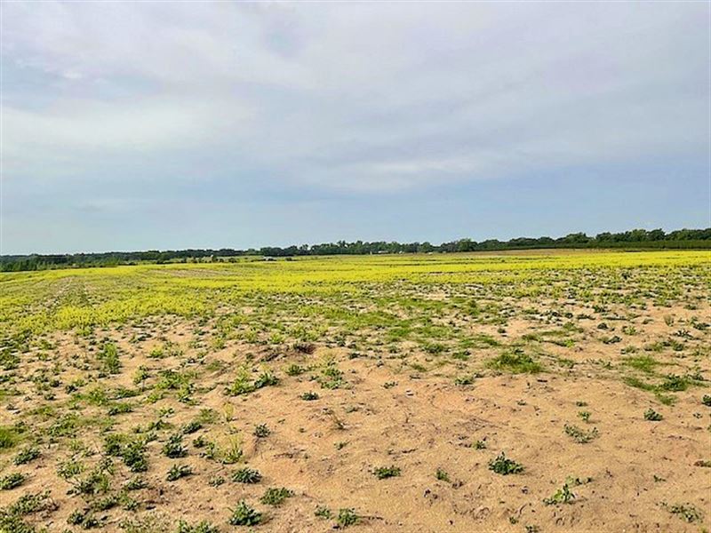 Gently Rolling Cultivated Land : Lake City : Columbia County : Florida