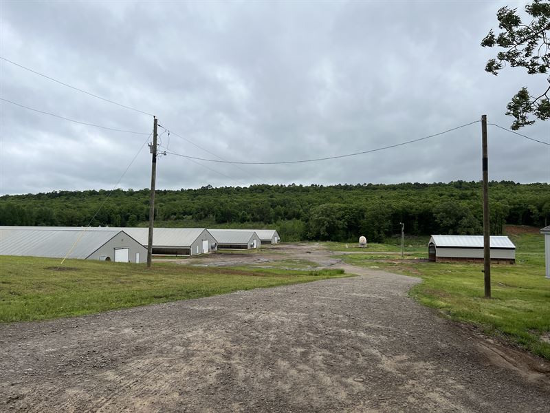 8 Chicken / Poultry Houses Farm : Magazine : Arkansas County : Arkansas