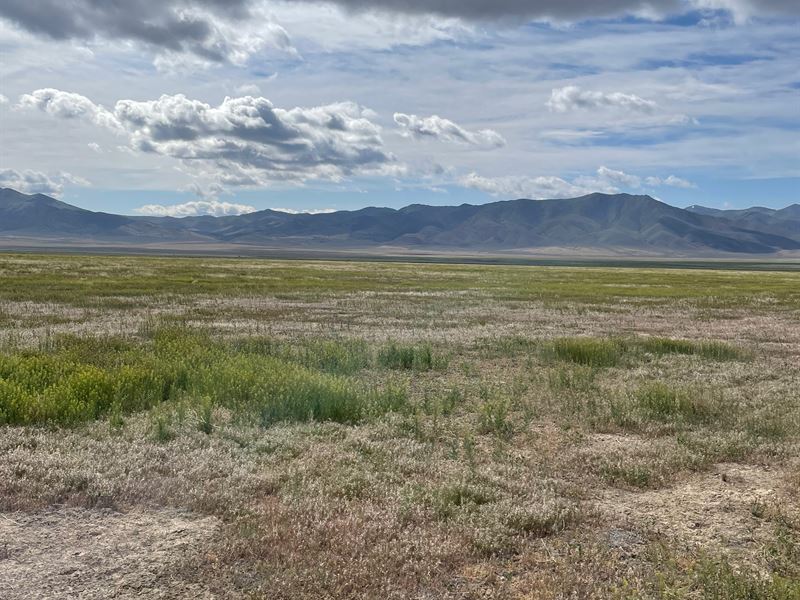 When You Just Need To Go Off Grid Land for Sale by Owner in