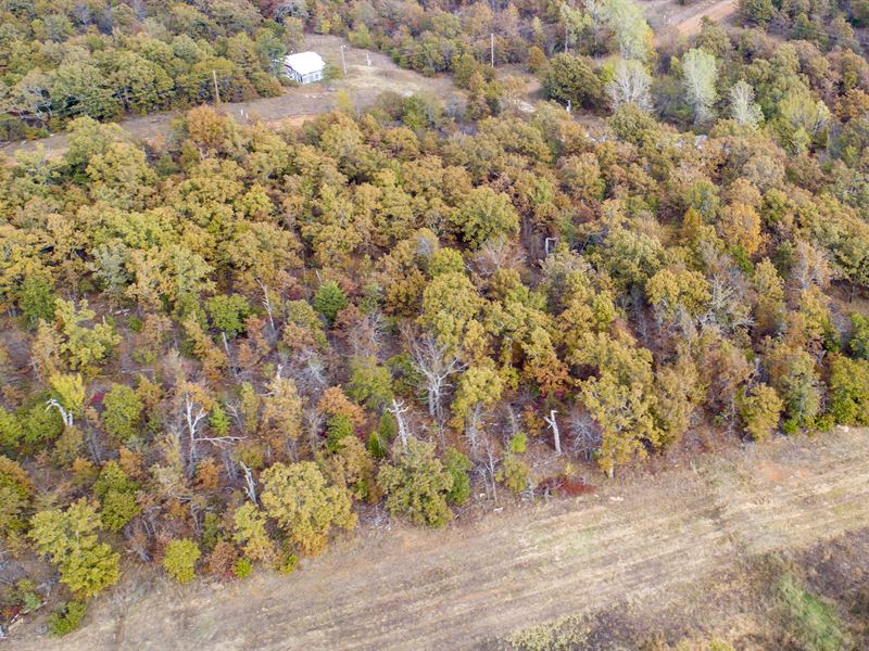 Near Tulsa, Trees, Clearing, Power : Mounds : Okmulgee County : Oklahoma
