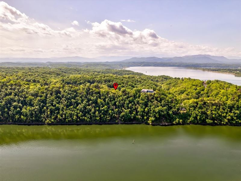 Nearly 5 Acre Douglas Lakefront Lot : Newport : Cocke County : Tennessee