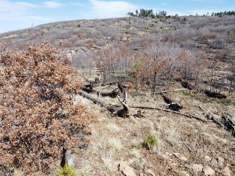 1.4 Ac with Gorgeous Mountain Views : Estancia : Torrance County : New Mexico