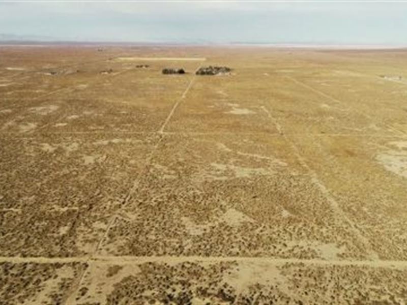 2.5+ Acres in HI Vista Area : Lancaster : Los Angeles County : California