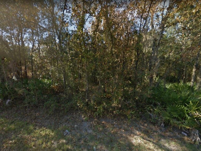.26 Acre for Sale in Homosassa, FL : Homosassa : Citrus County : Florida