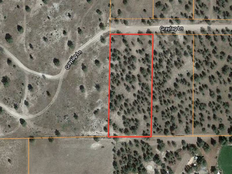RV Living & Part Time Camping : Graylag Ln : Modoc County : California