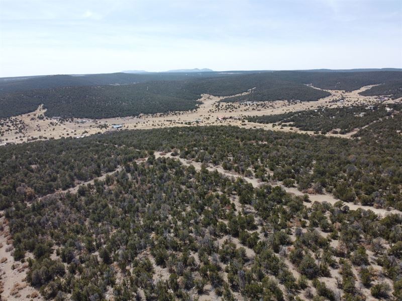1.3 Acre Off Grid, Quiet Property : Estancia : Torrance County : New Mexico