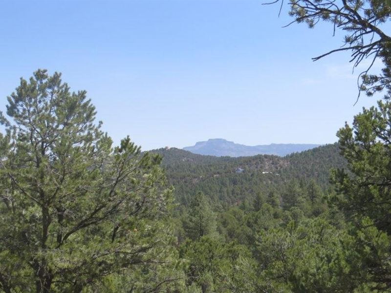 36 Trinidad Lake Ranch : Trinidad : Las Animas County : Colorado