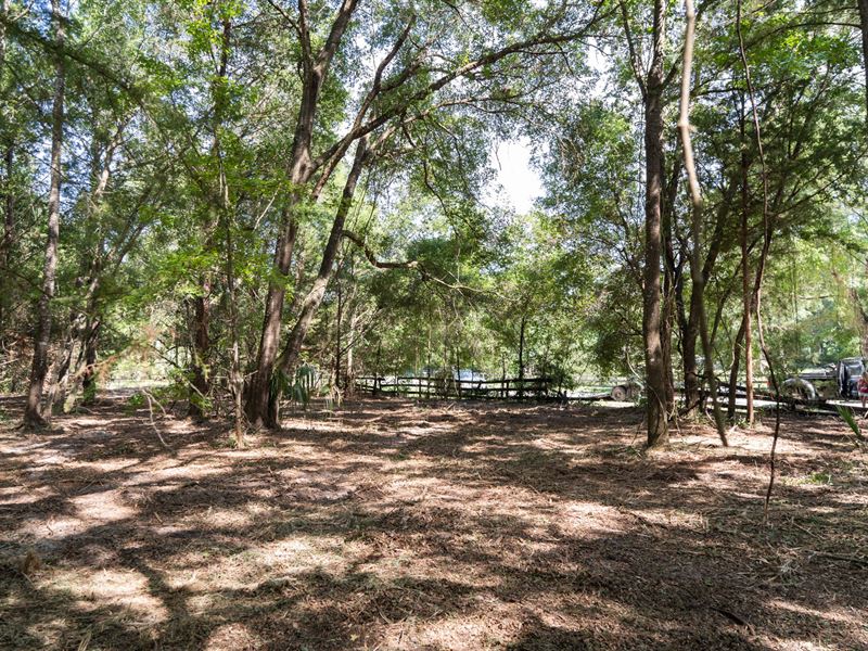 $9,900 Down, Your Dream Property : Chiefland : Levy County : Florida