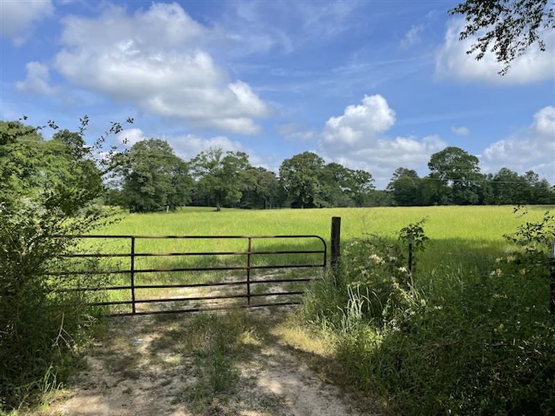 Foxworth Farm : Foxworth : Marion County : Mississippi