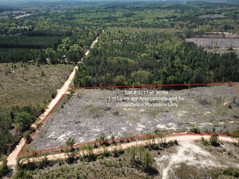 11 Ac Lot 1 Taylor County : Butler : Taylor County : Georgia